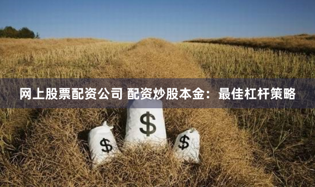 网上股票配资公司 配资炒股本金：最佳杠杆策略