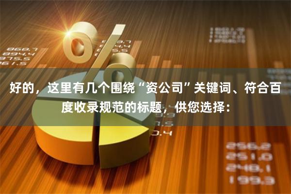 好的，这里有几个围绕“资公司”关键词、符合百度收录规范的标题，供您选择：
